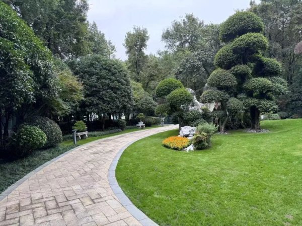 创牛配资 最高涨幅超4倍，大股东却减持近七成，山东墨龙葫芦里卖啥药