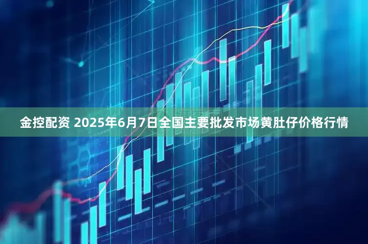 金控配资 2025年6月7日全国主要批发市场黄肚仔价格行情