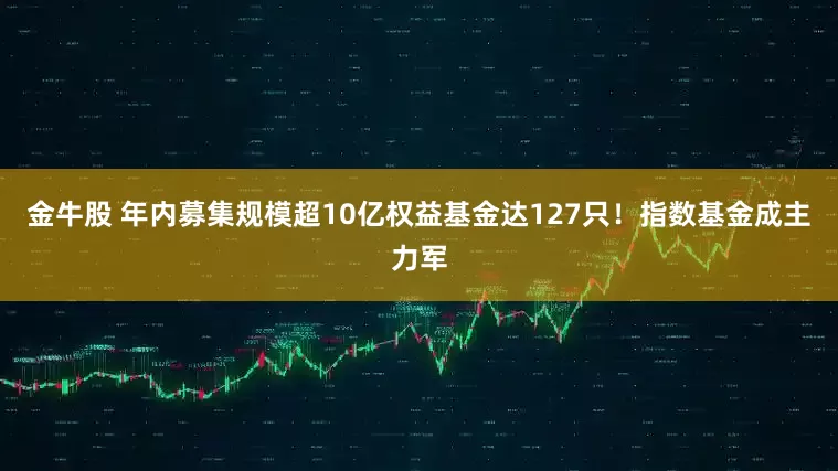 金牛股 年内募集规模超10亿权益基金达127只！指数基金成主力军